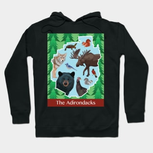 The Adirondacks Hoodie